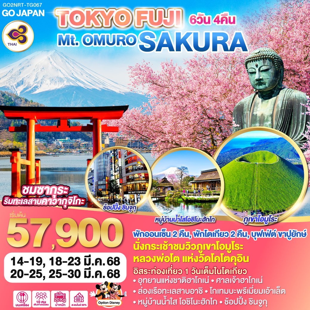 ทัวร์ญี่ปุ่น TOKYO FUJI Mt.OMURO SAKURA 6วัน 4คืน (TG)