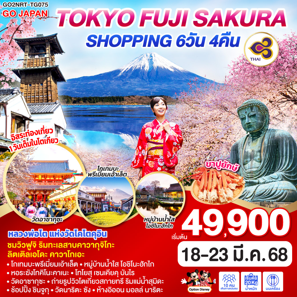 ทัวร์ญี่ปุ่น TOKYO FUJI SAKURA SHOPPING 6วัน 4คืน (TG)